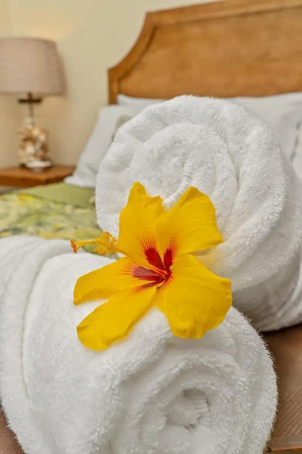 Beautiful Poipu Ac, Walk To Beach, Pool And Tennis Kp117 Koloa 0*,  United States